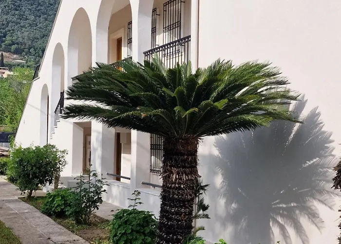Casa Alema Ипсос